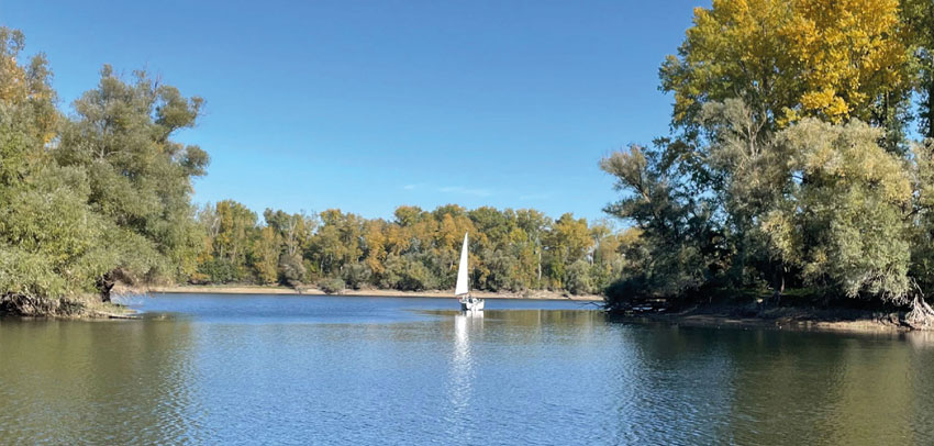 Otterstadter Altrhein mit Segelboot