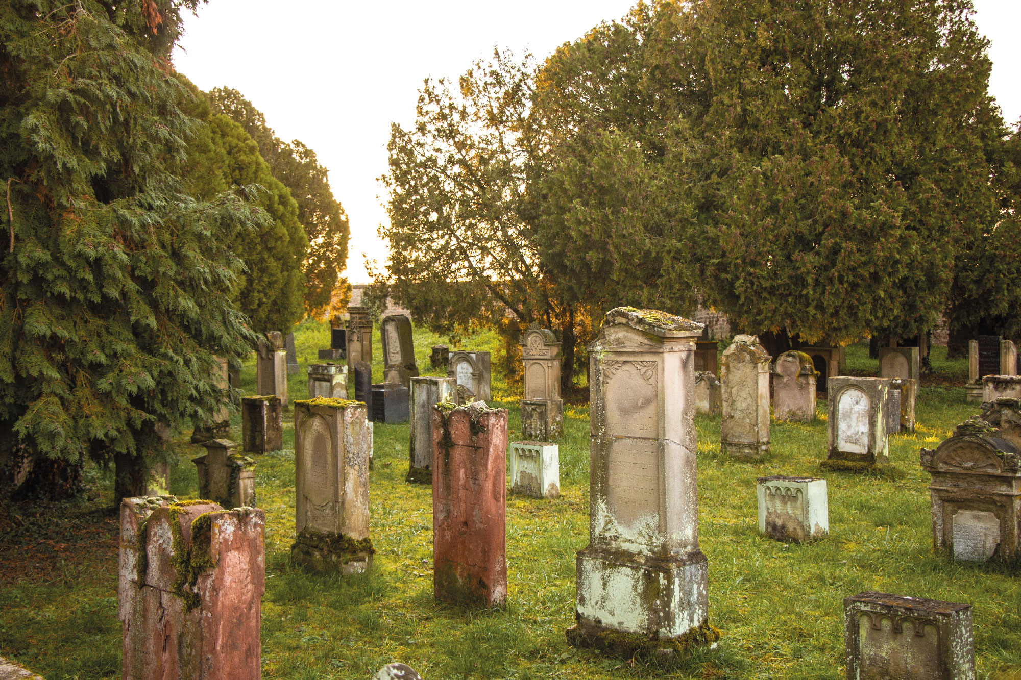 Judenfriedhof_8402-200px
