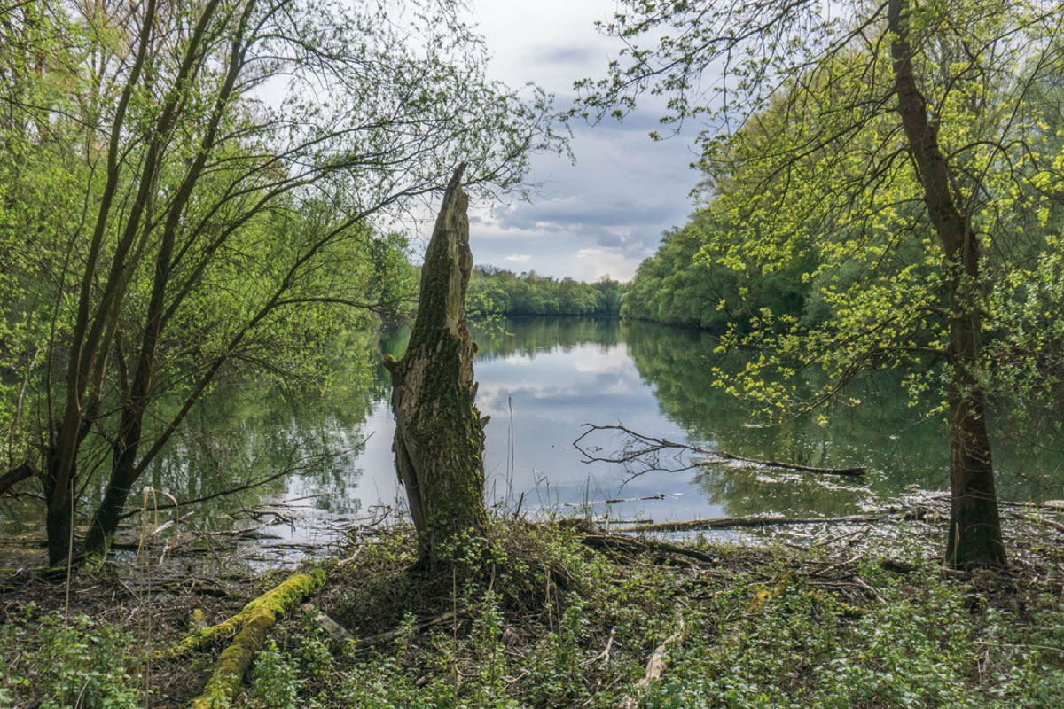 Böllenwörth bei Otterstadt