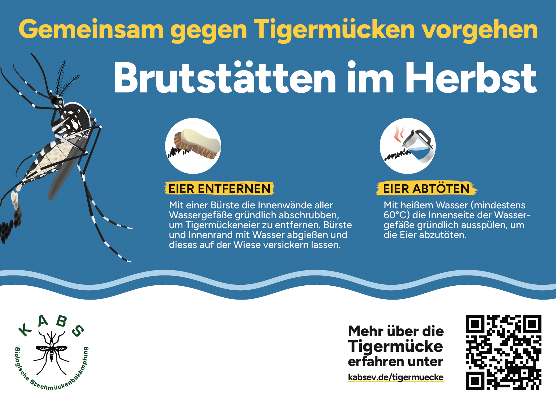 Flyer-Herbst
